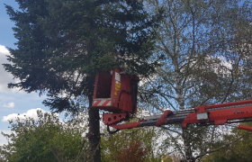 Élaguage avec nacelle  à ruelle-sur-touvre  