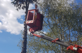 Élaguage avec nacelle  à ruelle-sur-touvre  